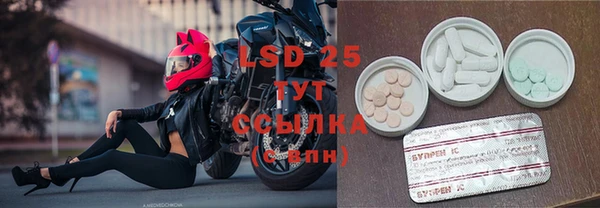 PSILOCYBIN Няндома