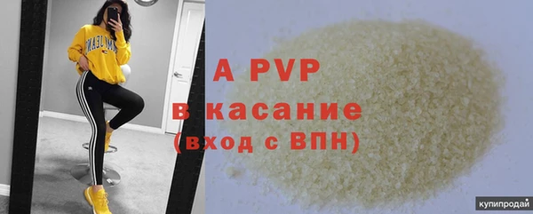 PSILOCYBIN Няндома