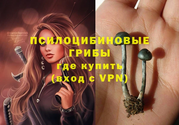 PSILOCYBIN Няндома