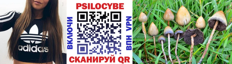 Галлюциногенные грибы Magic Shrooms  где найти   Владимир 